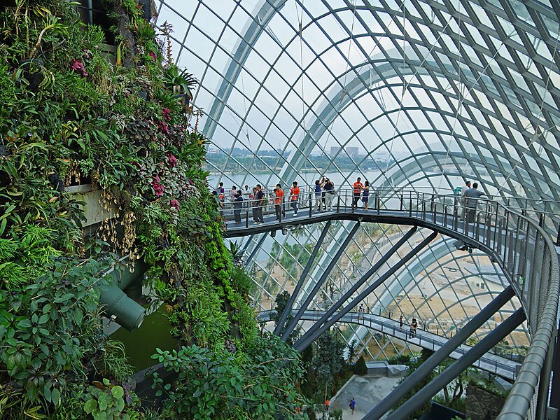 The Cloude Forest Dome - Szingapúr
