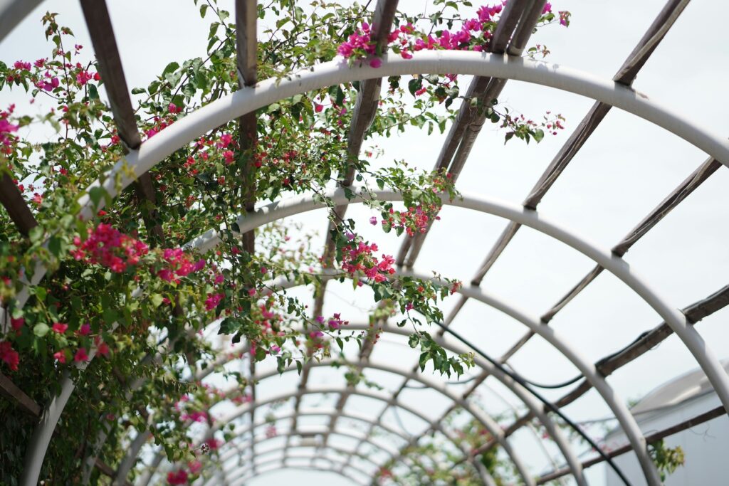 A builtex segít a kerti árnyékolók építésében!